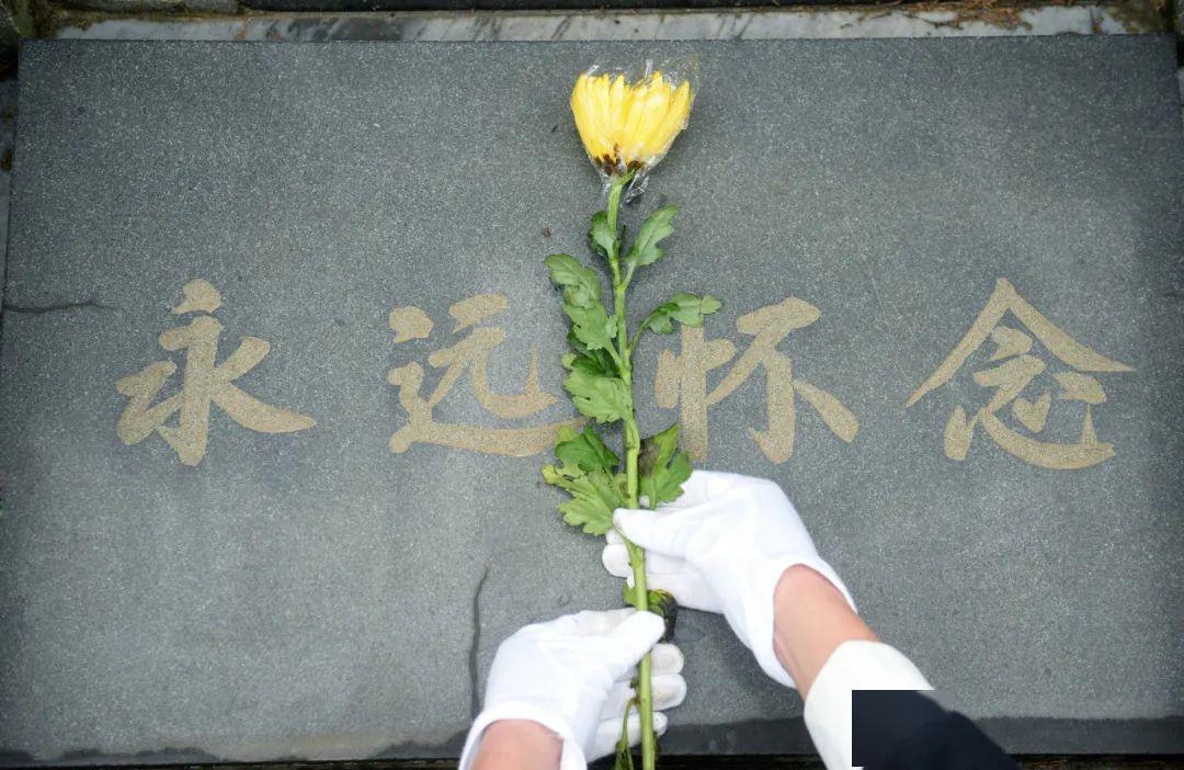 胡芳死刑图片图片