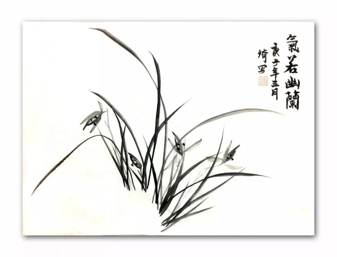 零基础国画兰草班招生啦从新手到入门只要三个月