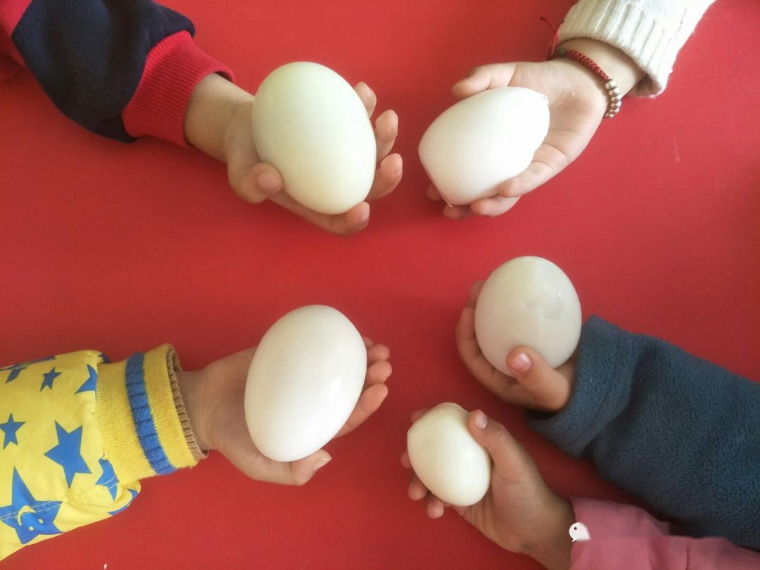 相互捏蛋的亲子游戏,看谁能把对方的鸡蛋捏碎,除此之外,还可以给鸡蛋