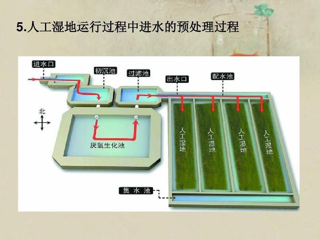 人工湿地设计步骤从参数到结构这个ppt讲全了