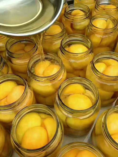手工黄桃罐头,蒙阴黄桃罐头(建议收藏),中国蜜桃之都