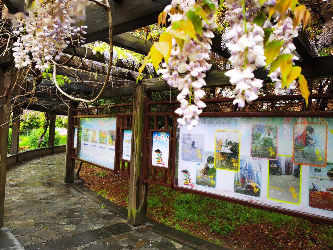 娃们我们想你了杭州胜蓝实验中学举行模拟开学及应急处置演练