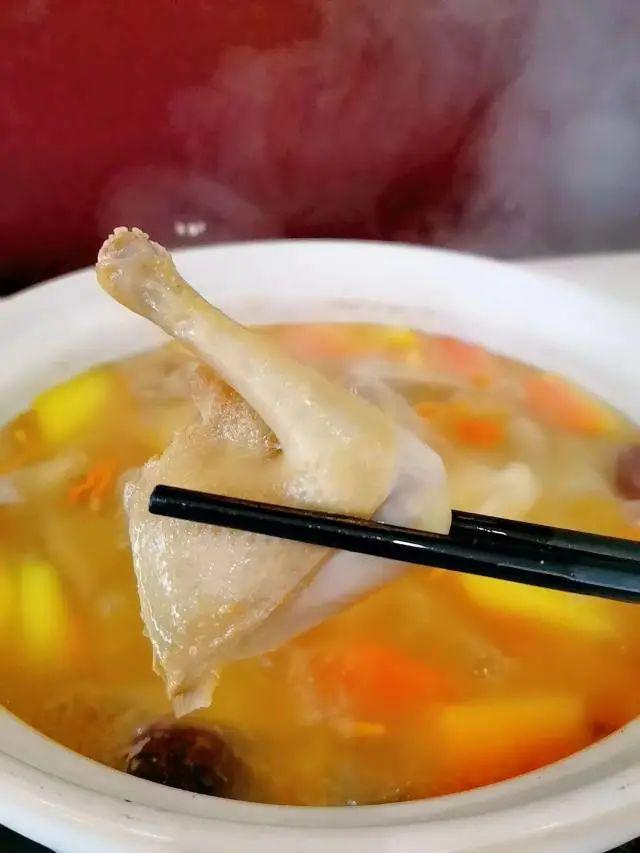 9元抢鸽雅轩养生药膳火锅套餐!白鸽2只 药膳锅底汤1份~健康营养