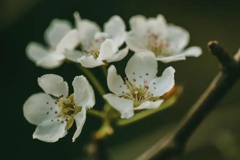 春暖花开就等你来