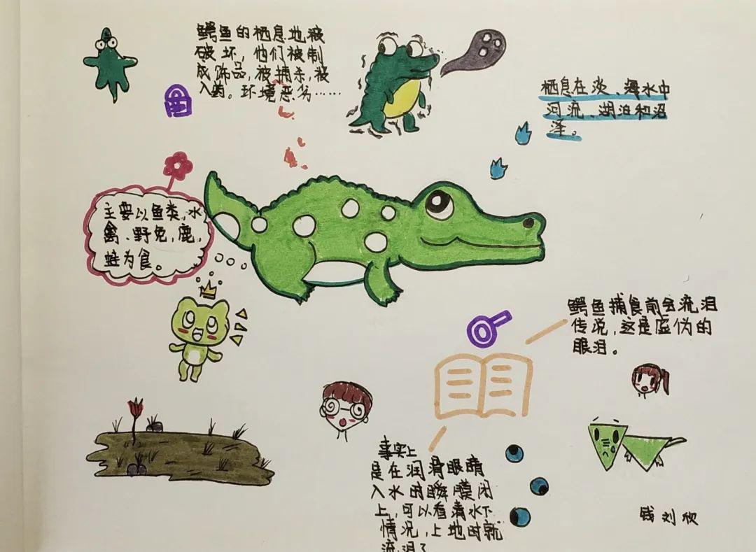 精彩课程五年级书香节活动野生动物调研