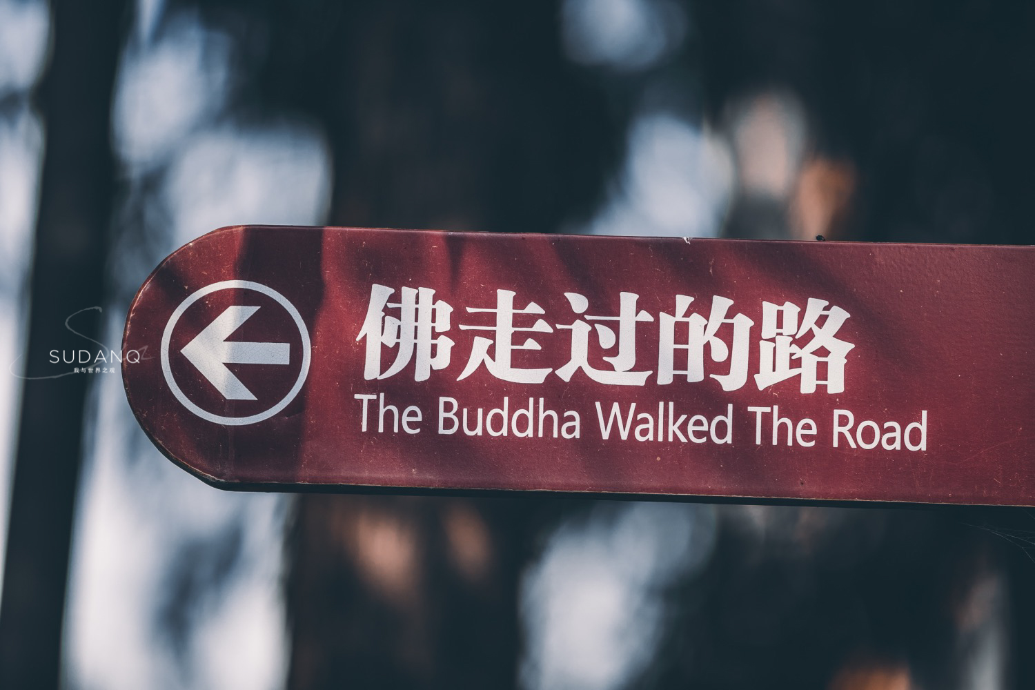 西安这座古寺鲜为人知:西域高僧穿过河西走廊,建立首个译经场 西安这座古寺鲜为人知:西域高僧穿过河西走廊,建立首个译经场