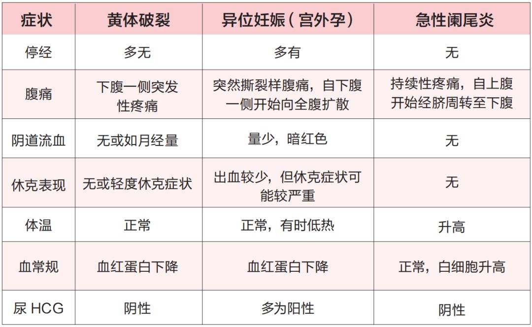 太大力了?_黄体