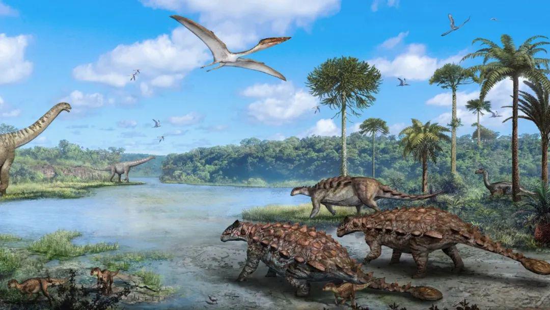 "第二课堂"微课堂丨浙江自然博物馆:"浙"里的甲龙不一般