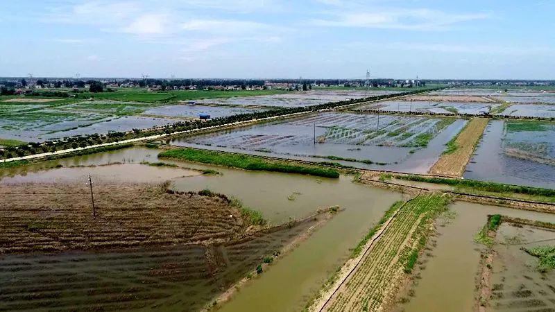 素有"虾乡"美誉的闸口镇克服疫情带来的影响,积极组织小龙虾养殖
