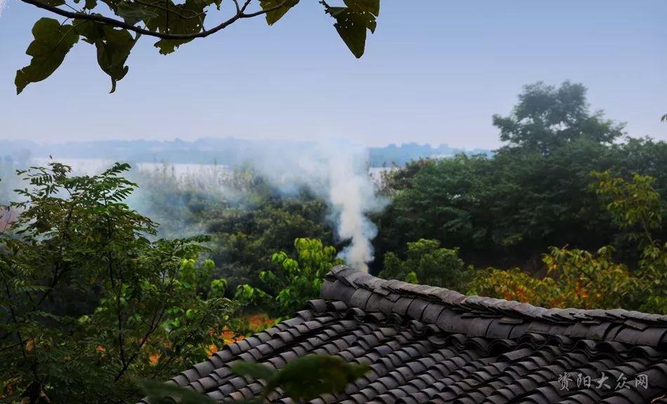「乡村游,快乐摘草莓」踏青好时节!特价99起,同安顶上乡村 草莓采摘特