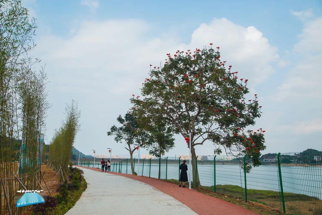 踏春普宁三坑水库里藏匿着一个周末休闲好去处