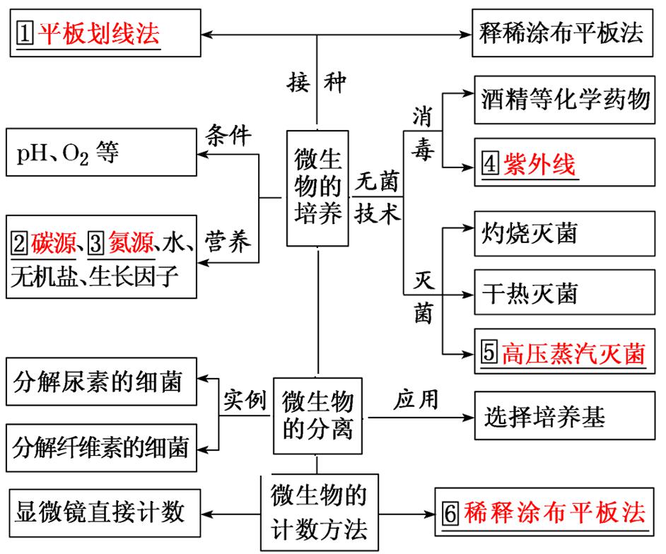微生物的培养与应用视频课知识点练习