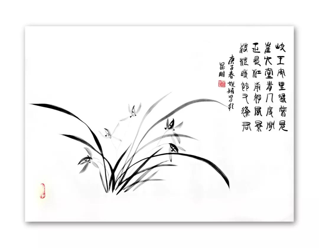 零基础国画兰草班招生啦从新手到入门只要三个月