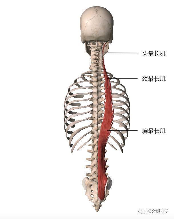 止点:c2