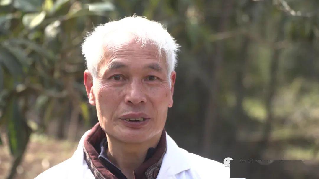 "独脚医生"陈永根:40年行医的他,拄着拐杖走家入户,竭力打通农村防疫"