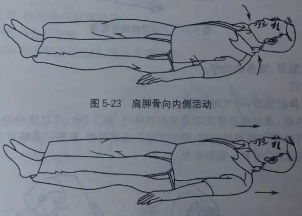 4,肩胛带的放松5,颈部放松体位:舒适放松的体位,使全身肌肉放松,前倾