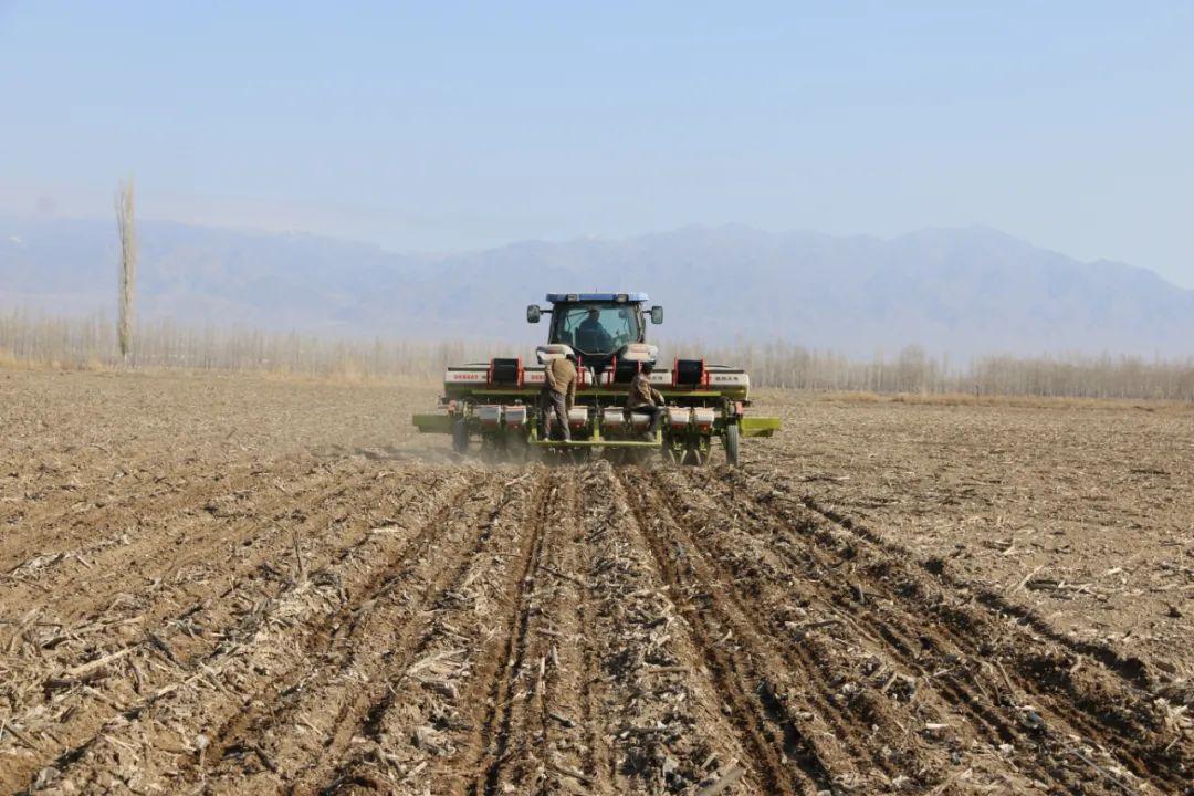 新型免耕播种技术助力博乐市春耕生产