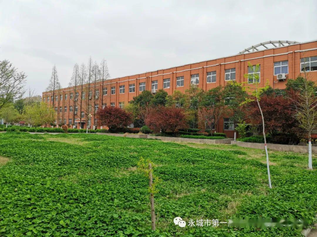 河南省永城市高级中学图片