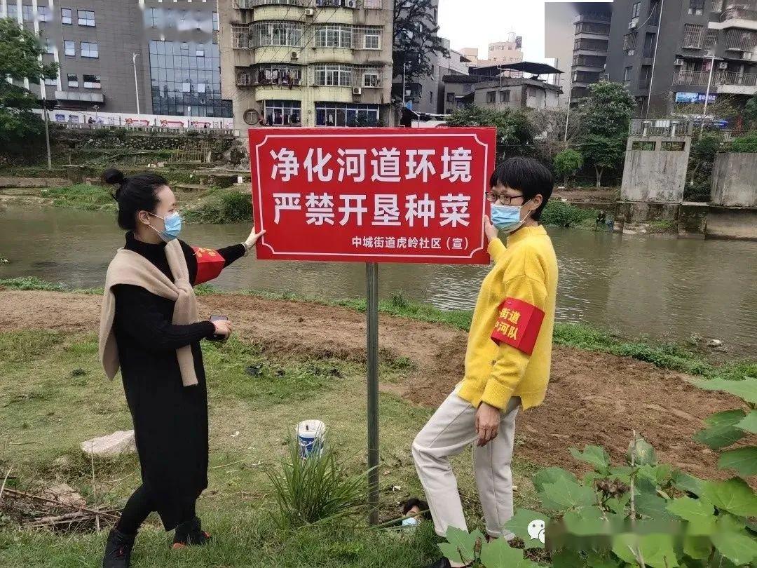 为巩固治理成果,虎岭社区设立了"净化河道环境 严禁开垦种菜"警示牌.