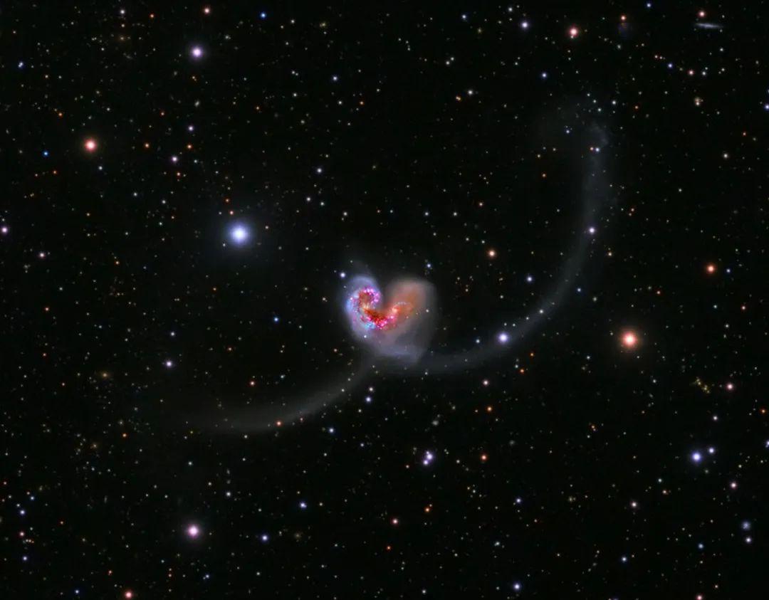 乌鸦座的ngc4038与ngc4039好物推荐《幽兰独抱真香色——佳人风华》