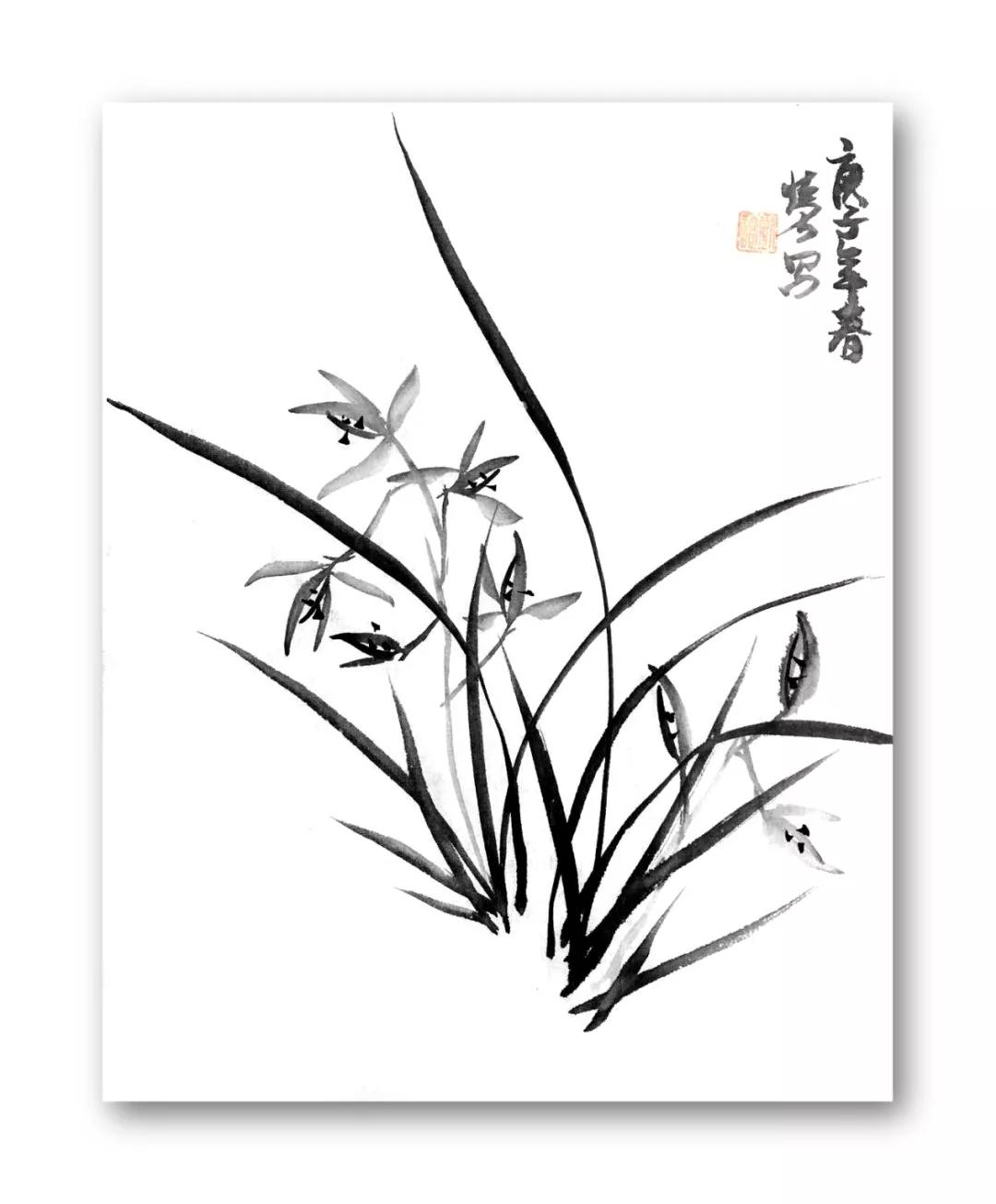 零基础国画兰草班招生啦从新手到入门只要三个月