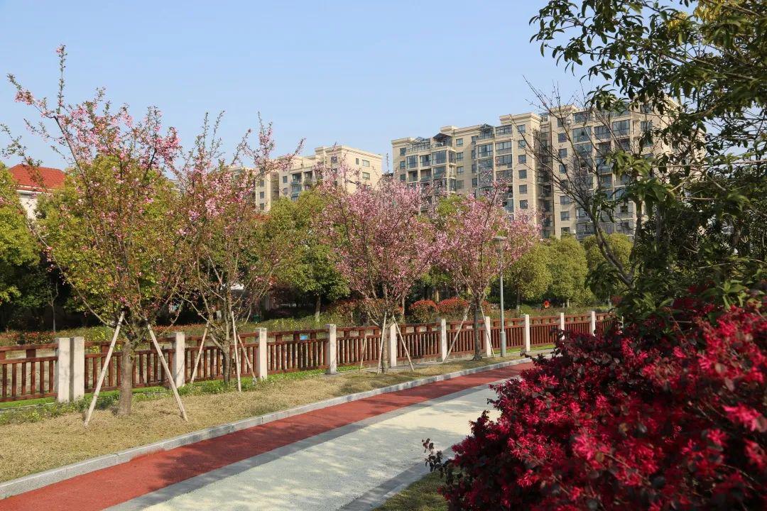 邂逅义蓬最美四月天走起我们云踏青去