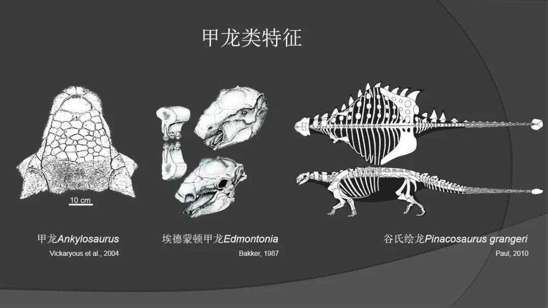 第二课堂微课堂丨浙江自然博物馆:浙里的甲龙不一般