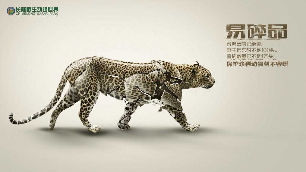 濒危动物公益广告图片