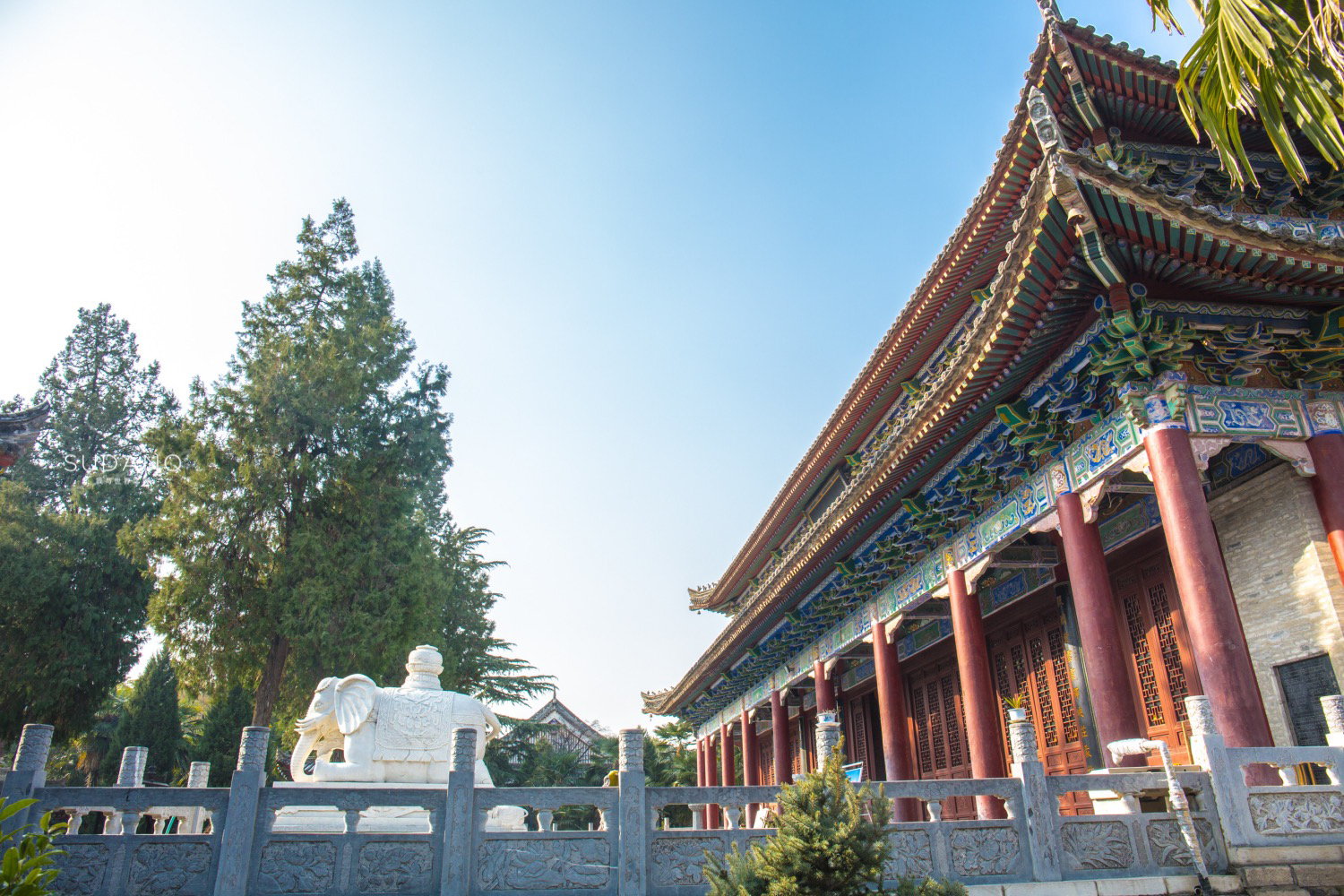 西安这座古寺鲜为人知:西域高僧穿过河西走廊,建立首个译经场 西安这座古寺鲜为人知:西域高僧穿过河西走廊,建立首个译经场