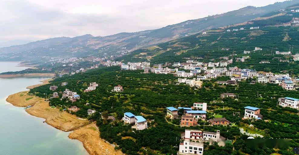 安坪镇狠抓"1234" 全力推进脱贫攻坚