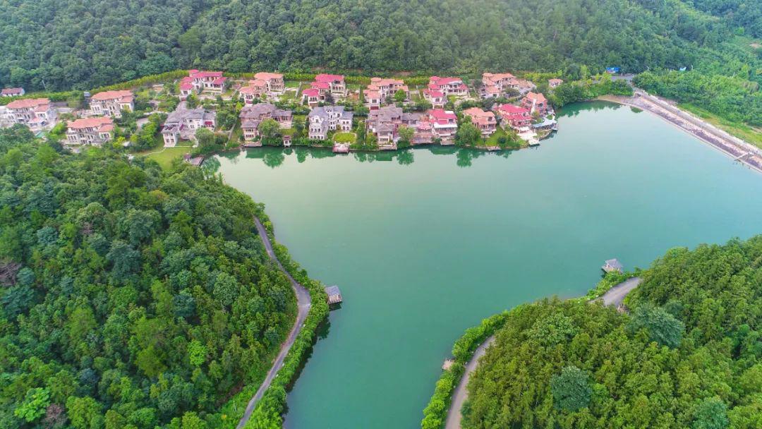 揭开德清五四村美丽密码