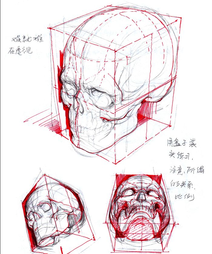 人體繪畫人體頭部結構難點解析及漫畫應用