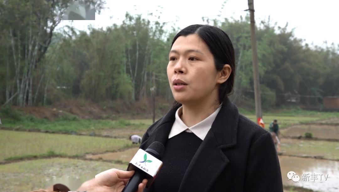 县农业农村局副局长 李金玲目前,全县犁耙办田的面积约4.