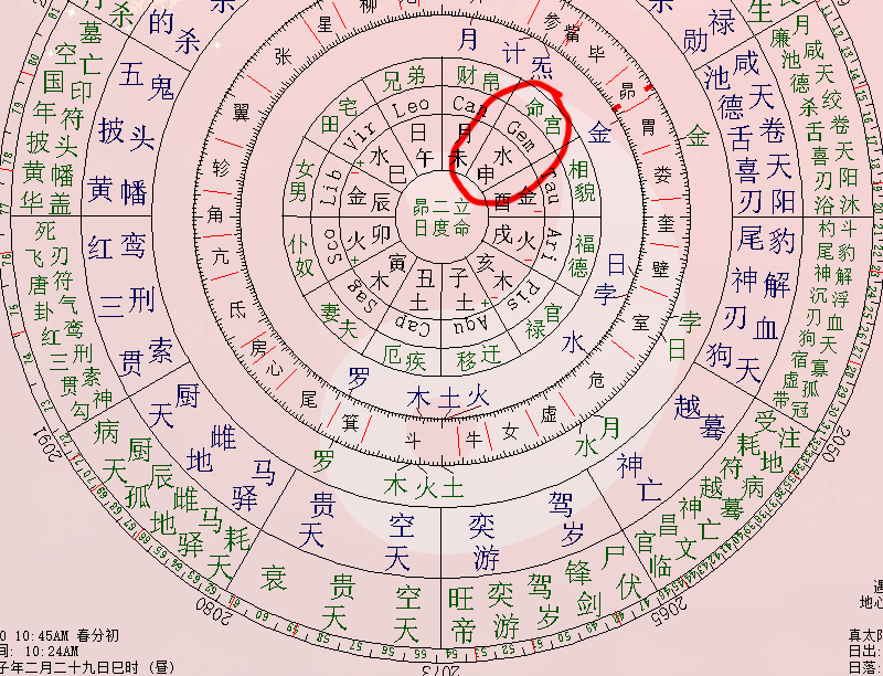 紫微斗数排盘(紫微斗数排盘哪个准)