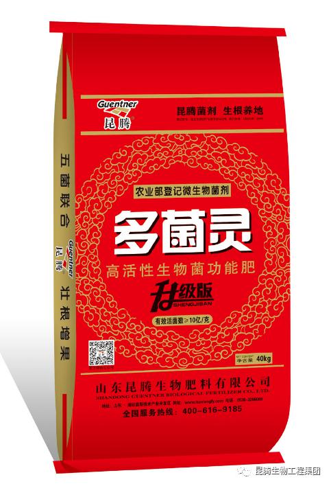 芹菜什么时间种植芹菜种植技术与种植时间