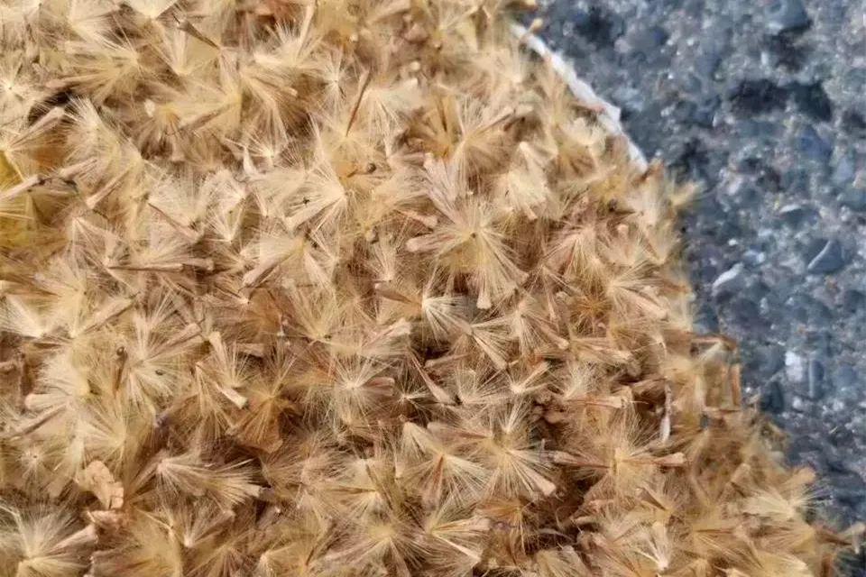 提醒萧山人注意有场春雪要来必须做好防护