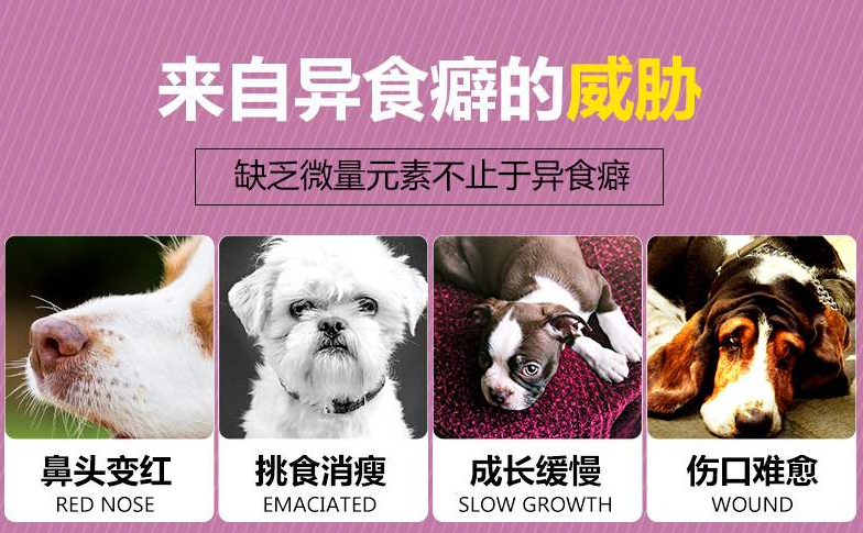 有了异食癖该怎么办呢?怎么解决这种现象