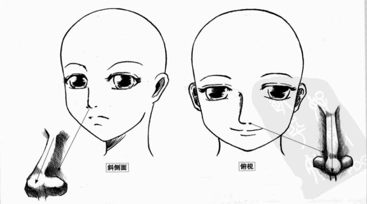 【人体绘画】人体头部结构难点解析及漫画应用_五官