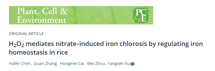 项目文章华中农业大学徐芳森课题组解析水稻喜铵不喜硝的生理机制