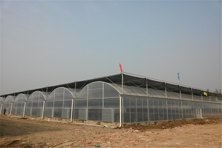 原创经济耐用型的温室大棚小知识您学会了吗