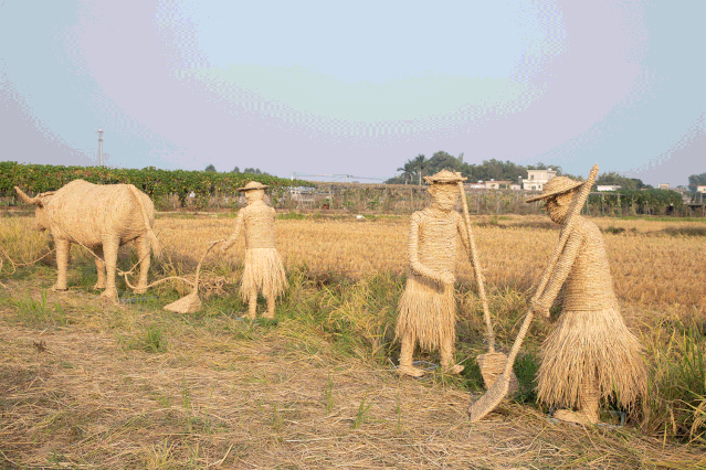 荷花塘,农家乐等钓鱼台,桃花园,百瓜长廊稻草凉亭,稻草迷宫