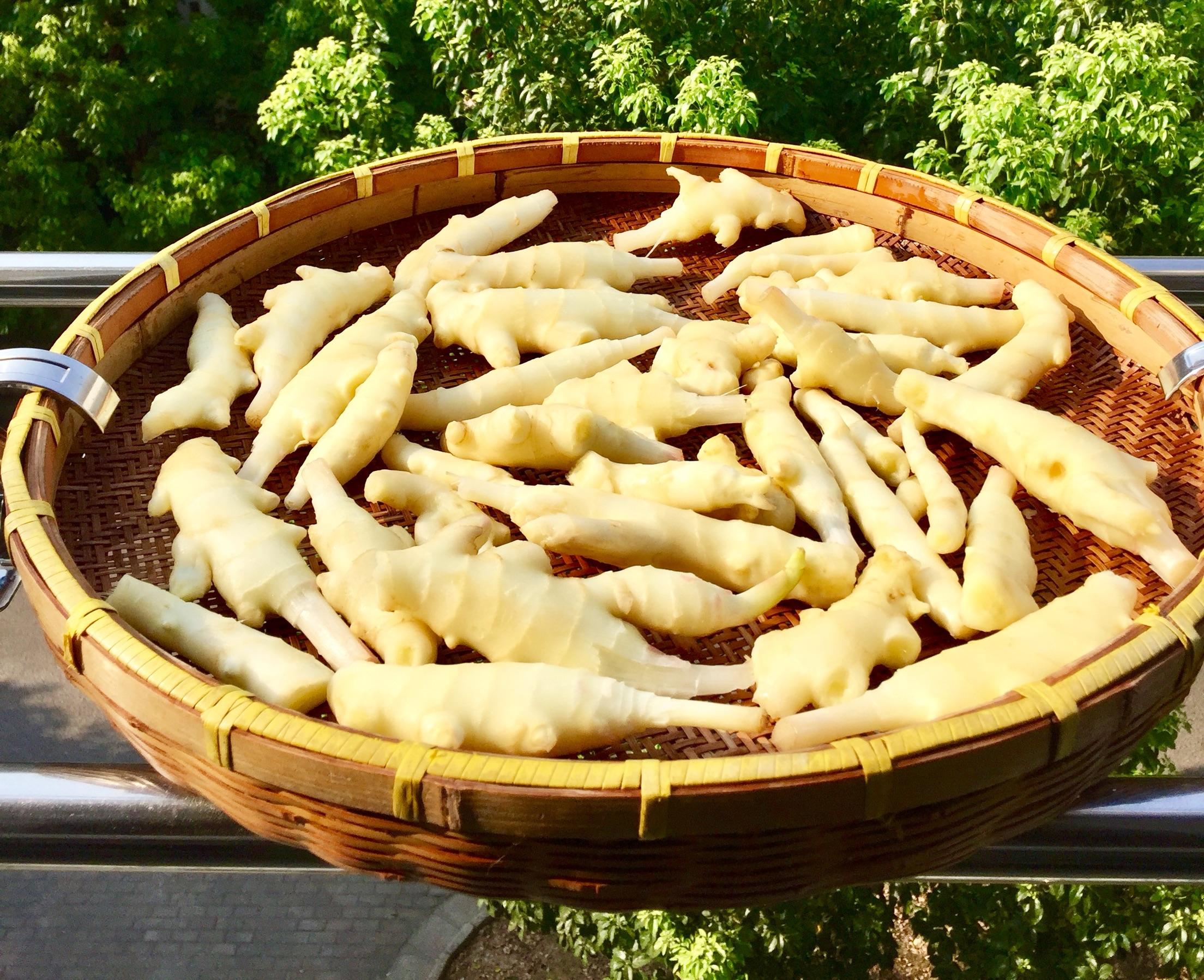 干生姜和干姜一样吗?除了水分含量,还有这些不同的地方_种植