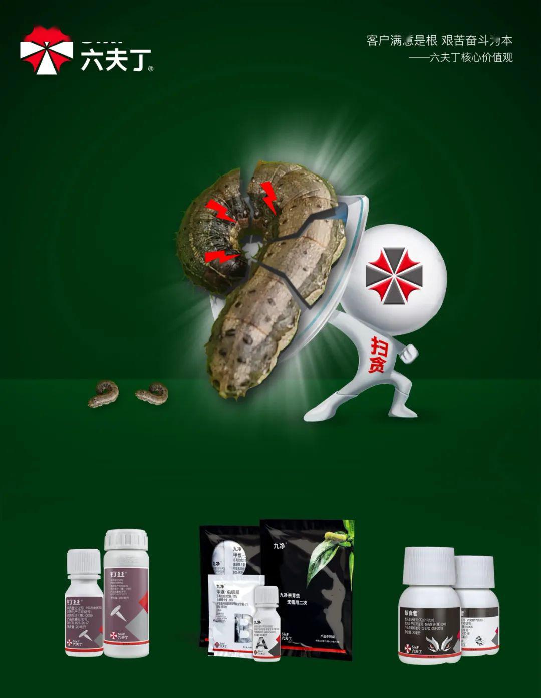 钉丝用药2天后,六夫丁扫贪分队通过实地回访,发现钉丝死虫效果仍然