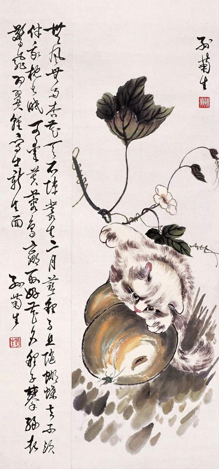 百岁猫王孙菊生教你画猫咪教你养生