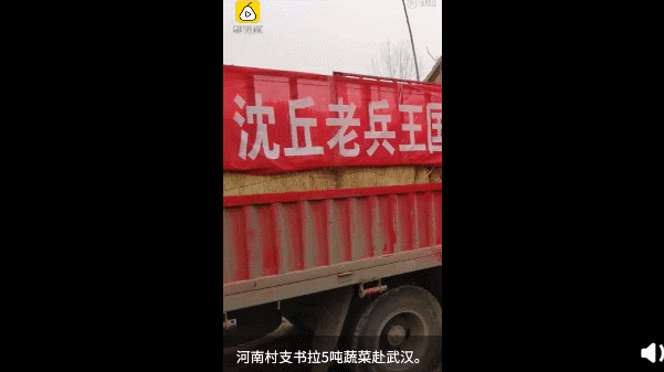 601_337gif 动态图 动图