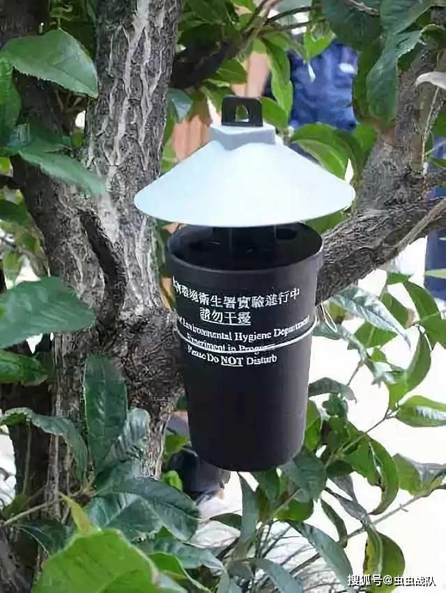 结合gis分析伊蚊诱卵器空间分布数据,指导合理用药,杀灭蚊成虫,能使用