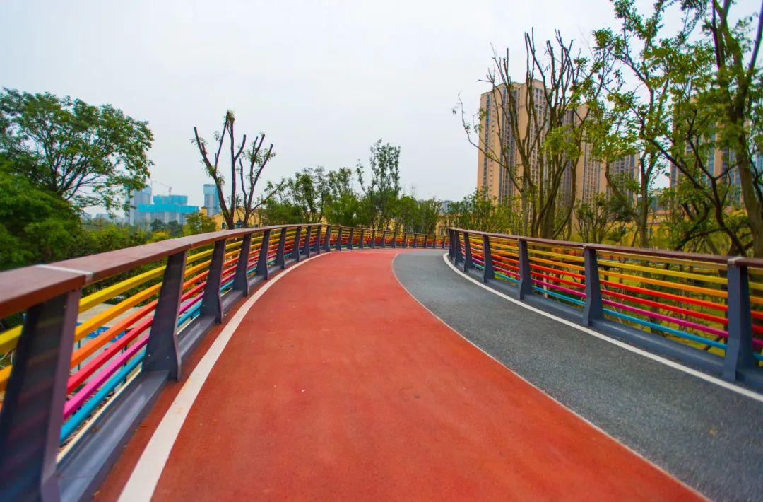 金牛科学健身智慧绿道全新亮相