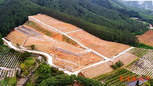 莲花山墓园推出"云上清明"寄哀思_贵港市