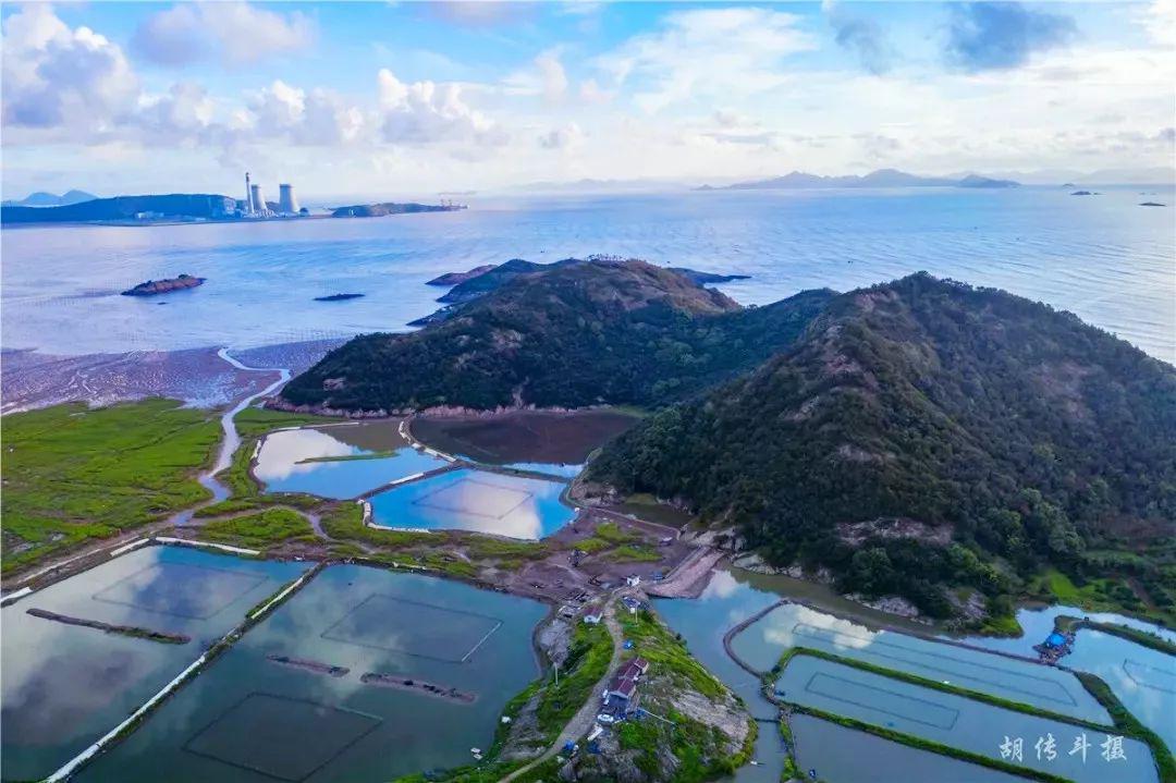 赞三门这些地方上榜省级农村引领示范名单