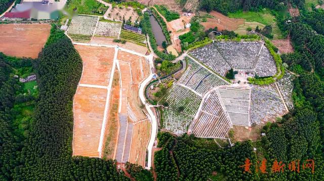 不得入园祭扫?莲花山墓园推出"云上清明"寄哀思